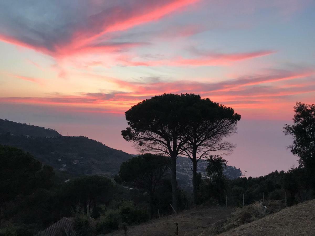 Incantevole Villa Con Vista Mozzafiato Cefalù Exterior foto